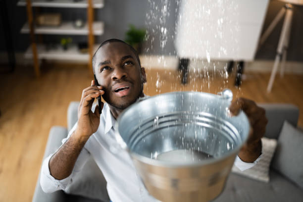 Best Sewage cleanup and water damage restoration  in Palmetto Estates, FL