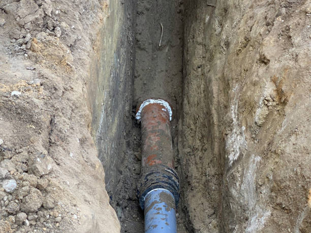 Best 24/7 water damage repair  in Palmetto Estates, FL