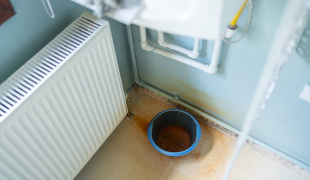 Best Flood restoration services  in Palmetto Estates, FL