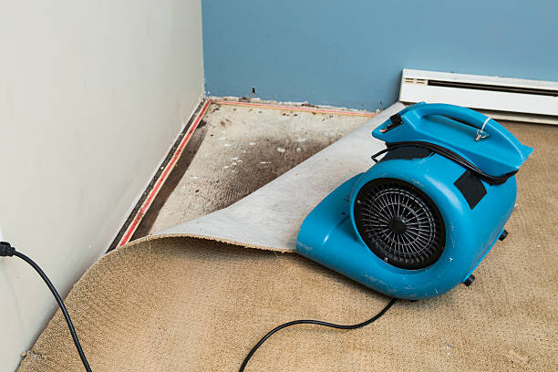 Best Fire Damage Restoration  in Palmetto Estates, FL